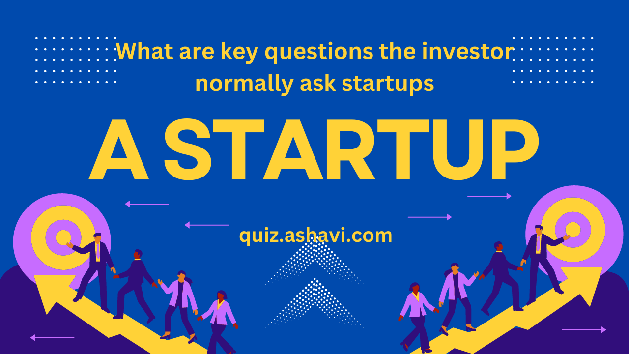 What are key questions the investor normally ask startups